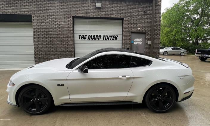 Mustang XPEL XR Tint 